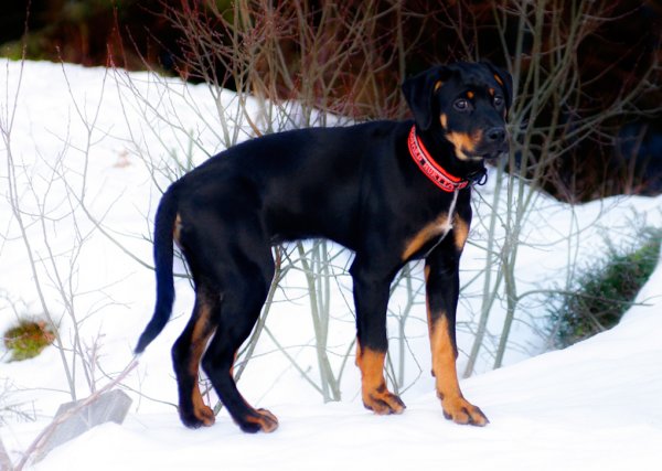 _IGP7851.jpg _IGP7851.jpg