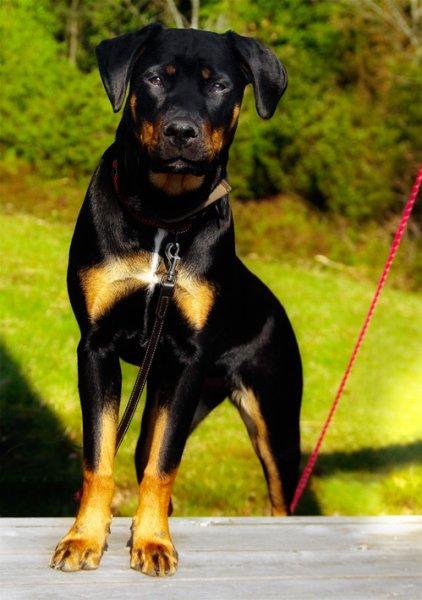 _IGP8062.jpg _IGP8062.jpg