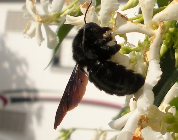 DSCN7672.JPG DSCN7672.JPG