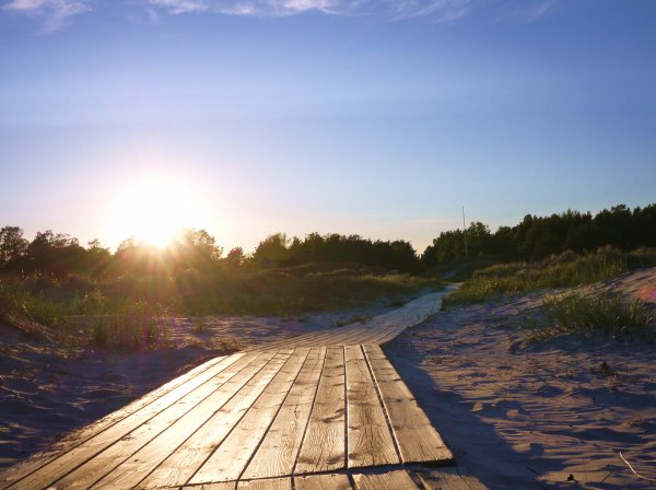 P1010806.JPG P1010806.JPG