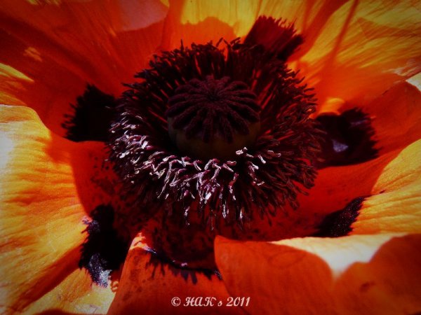 110501.jpg 110501.jpg