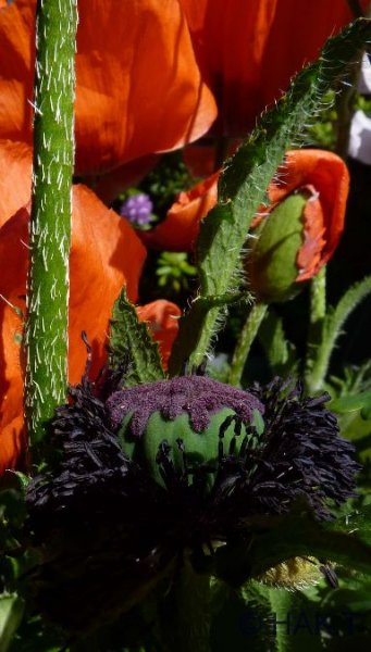 110512.jpg 110512.jpg