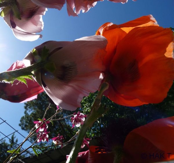 110607.jpg 110607.jpg