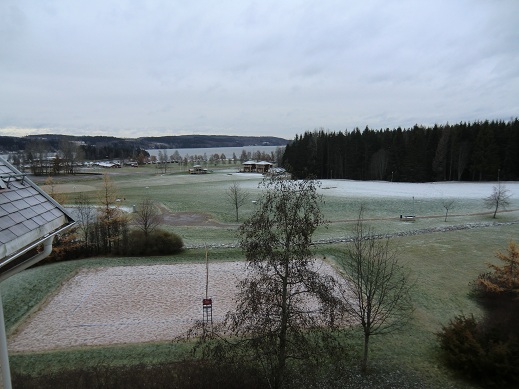 snö i november 057.JPG