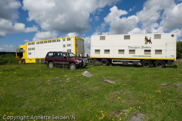 20110612.007-5.jpg 20110612.007-5.jpg