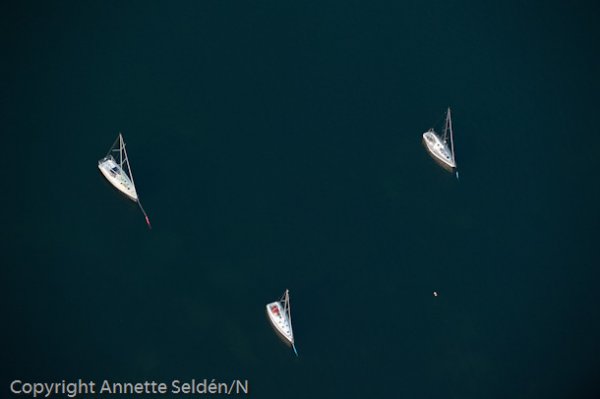 20110612.237.jpg 20110612.237.jpg