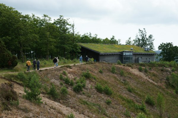 20110617.037.jpg 20110617.037.jpg