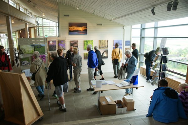 20110617.039.jpg 20110617.039.jpg