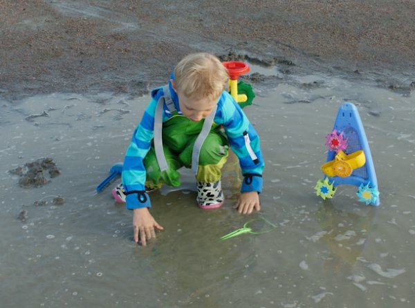 20110617.059.jpg 20110617.059.jpg