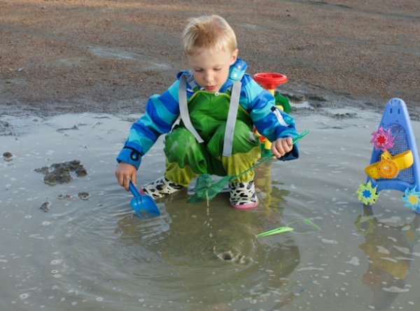 20110617.231.jpg 20110617.231.jpg