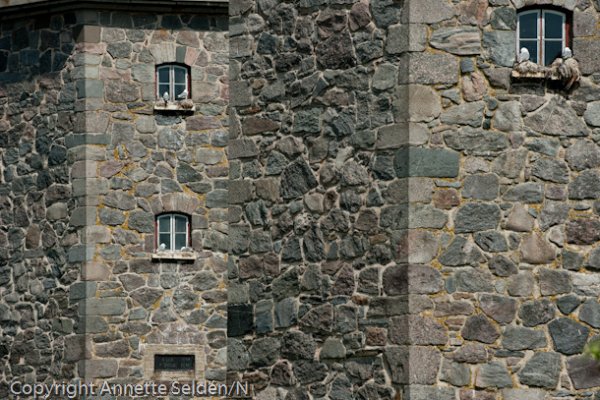 20110622.001.jpg 20110622.001.jpg