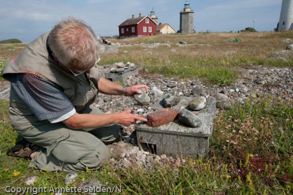 20110622.006.jpg 20110622.006.jpg