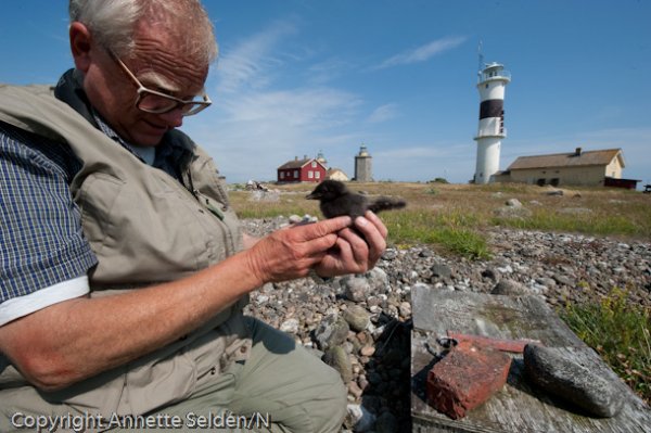 20110622.027.jpg 20110622.027.jpg