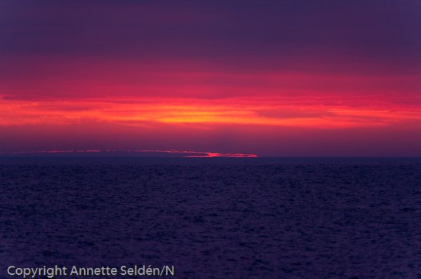 20110622.039-2.jpg 20110622.039-2.jpg