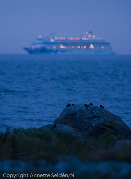 20110622.041-2.jpg 20110622.041-2.jpg