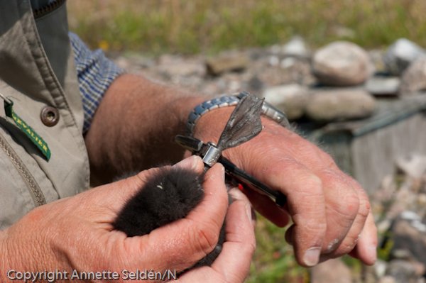 20110622.064.jpg 20110622.064.jpg