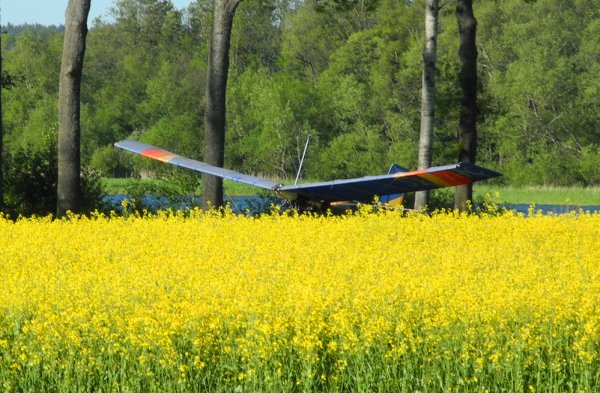 Ragge flyger (4) hbk.jpg