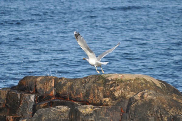 DSC_0225.JPG DSC_0225.JPG