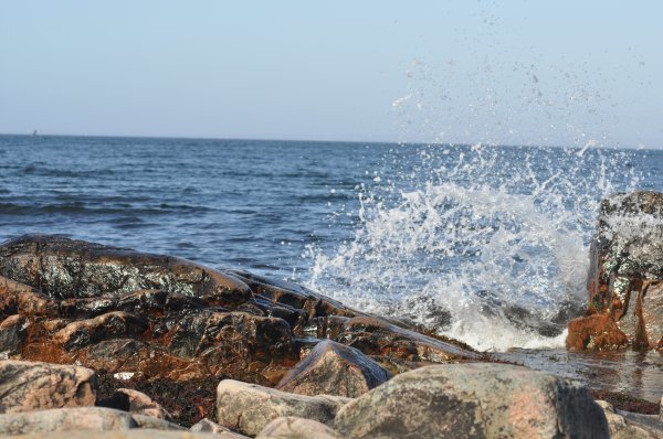 DSC_0228.JPG DSC_0228.JPG