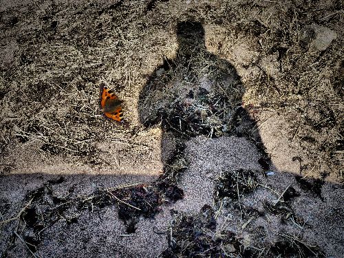 110415.jpg 110415.jpg