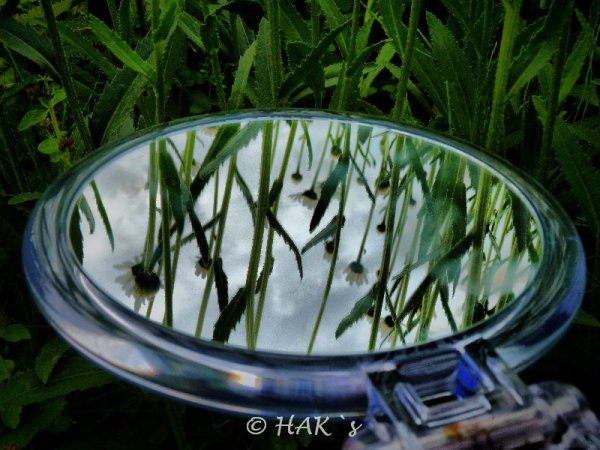 110704.jpg 110704.jpg