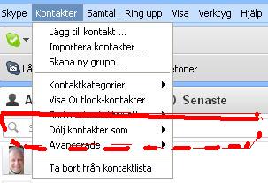 Skype 2.JPG
