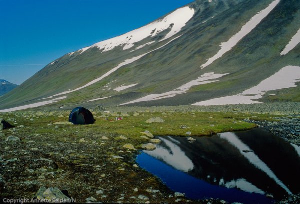 1993-07194.jpg 1993-07194.jpg