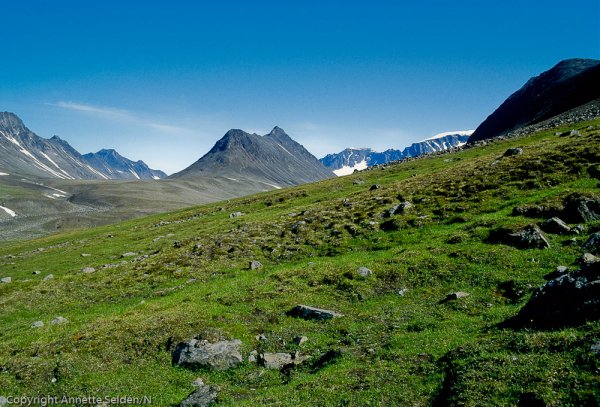 1993-07-.jpg 1993-07-.jpg