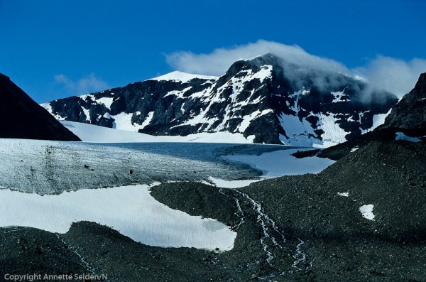 1991-07--Edit.jpg 1991-07--Edit.jpg