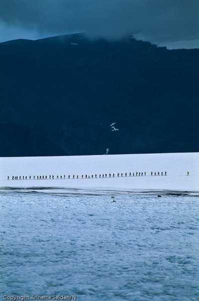 1997-07--5.jpg 1997-07--5.jpg