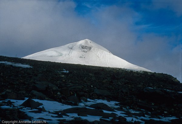 1993-07-274.jpg 1993-07-274.jpg