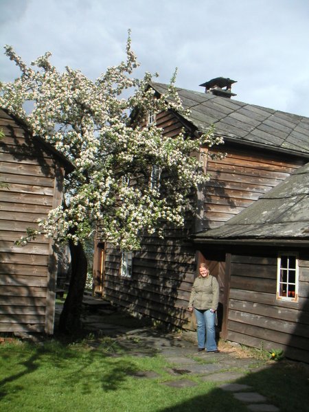 PICT0011.JPG PICT0011.JPG