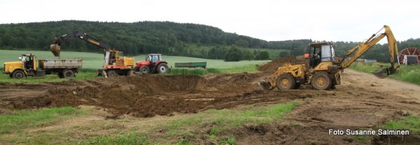 rådjur 009.JPG rådjur 009.JPG