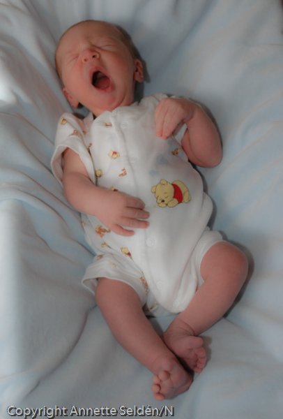 2005 08 24-4.jpg 2005 08 24-4.jpg