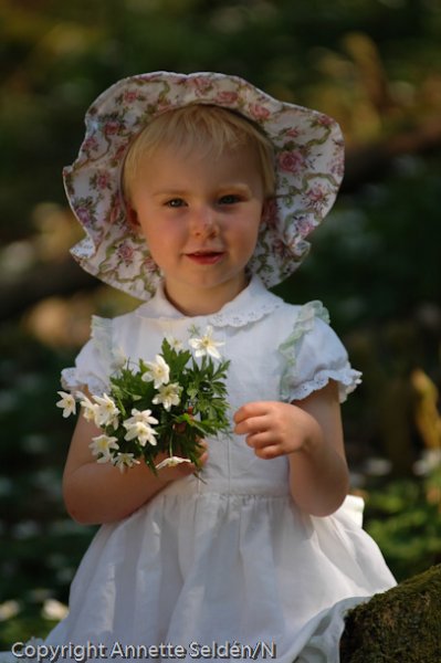 20060507.108.jpg 20060507.108.jpg