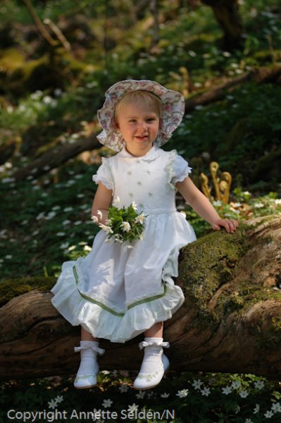 20060507.111.jpg 20060507.111.jpg