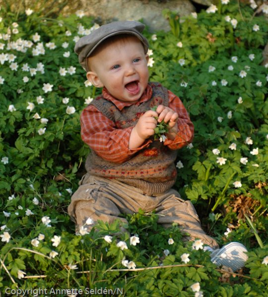 20060507.177.jpg 20060507.177.jpg