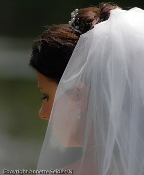 20060624.046.jpg 20060624.046.jpg