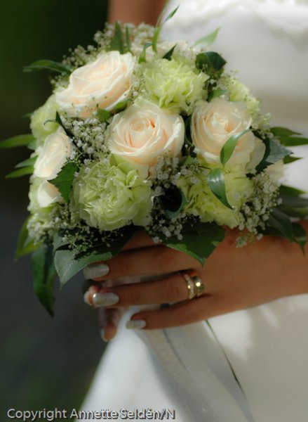 20060624.051.jpg 20060624.051.jpg