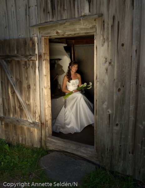 20110709.079.jpg 20110709.079.jpg