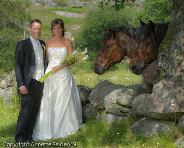 20110709.100.jpg 20110709.100.jpg