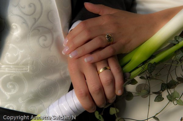 20110709.249.jpg 20110709.249.jpg