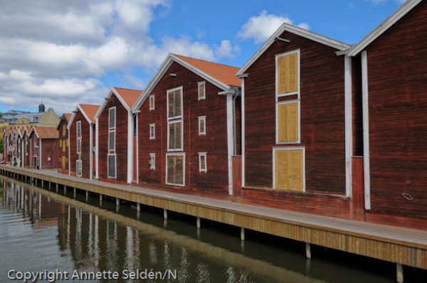 2008 06 25-007.jpg 2008 06 25-007.jpg