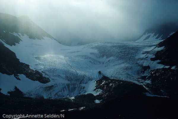 1991-07--2.jpg 1991-07--2.jpg