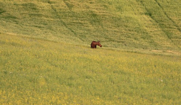 div 123.JPG div 123.JPG