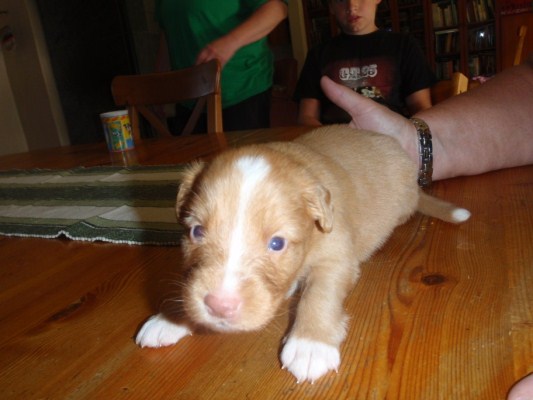 Doris (533 x 400).jpg