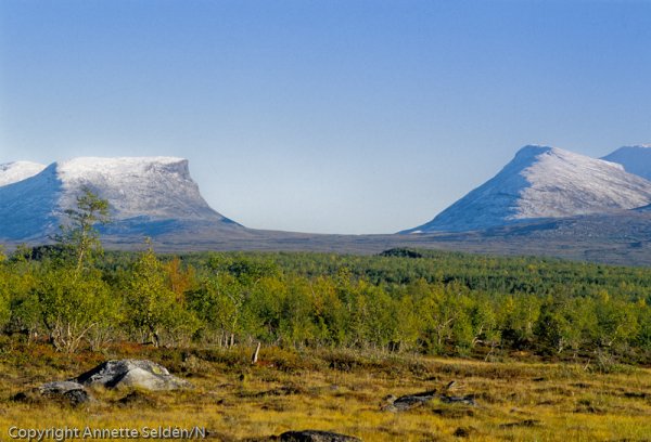 1996-09-176.jpg 1996-09-176.jpg