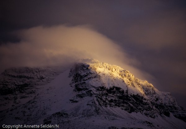 1996-09--2.jpg 1996-09--2.jpg