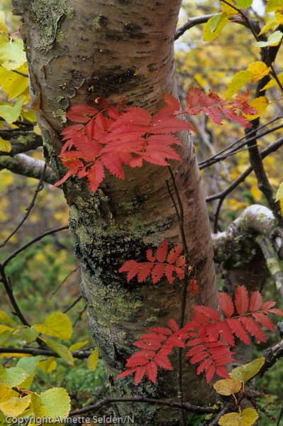 1997-09-Edit.jpg 1997-09-Edit.jpg