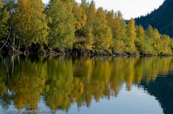 2008 09 10-120.jpg 2008 09 10-120.jpg